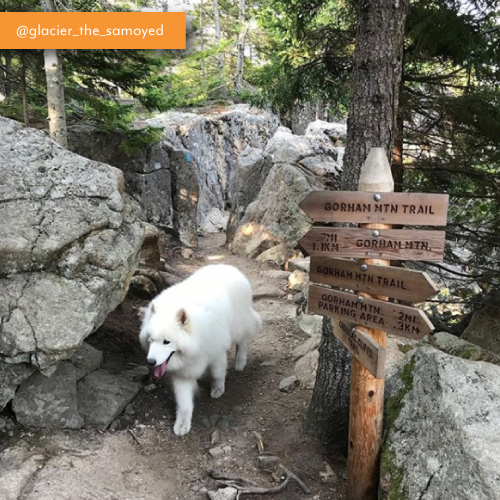 Acadia-National-Park