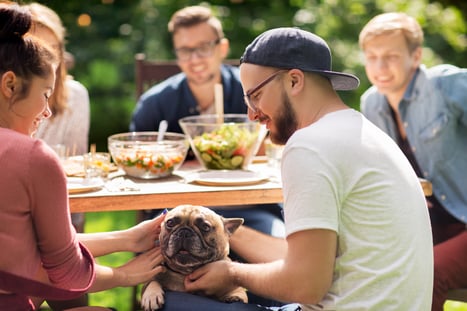 Dog and People At A Picnic or BBQ