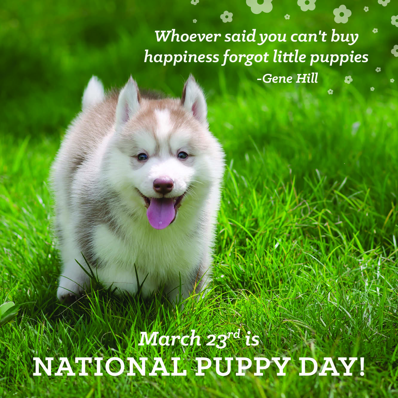 Happy National Puppy Day!