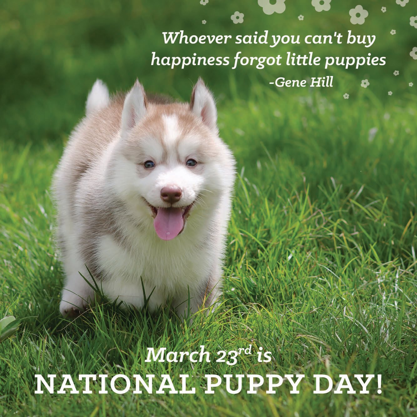 Happy National Puppy Day!