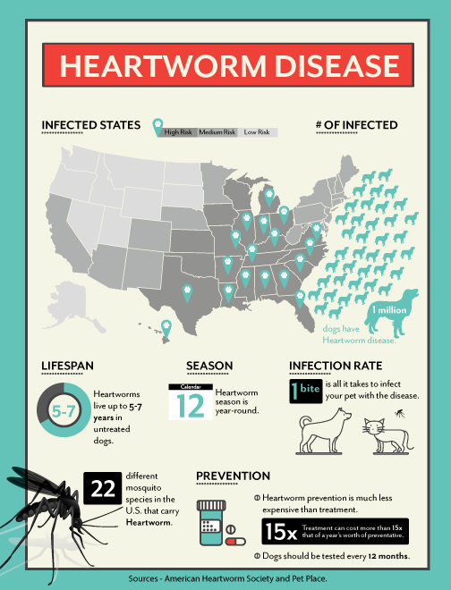 Heartworm Disease