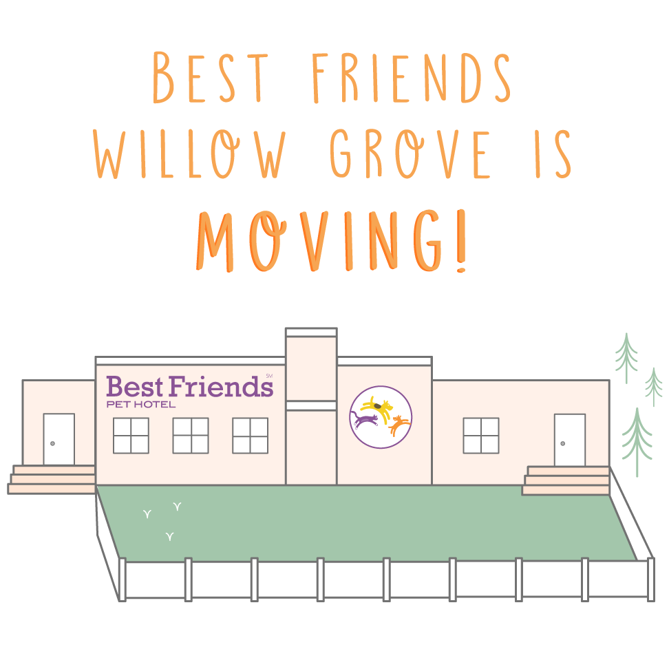 Best Friends Willow Grove is moving!