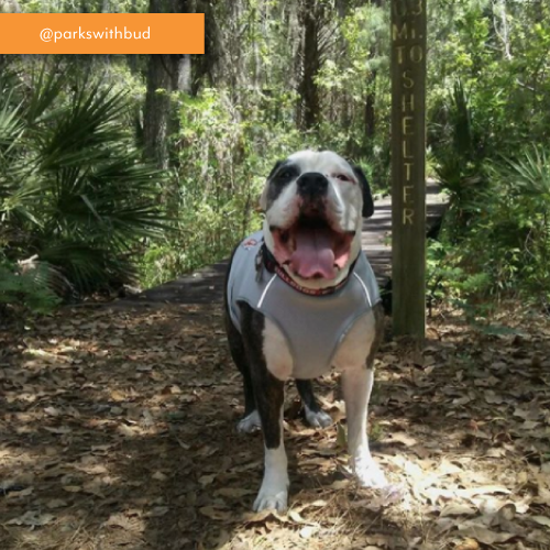 Lower-Wekiva-State-Park