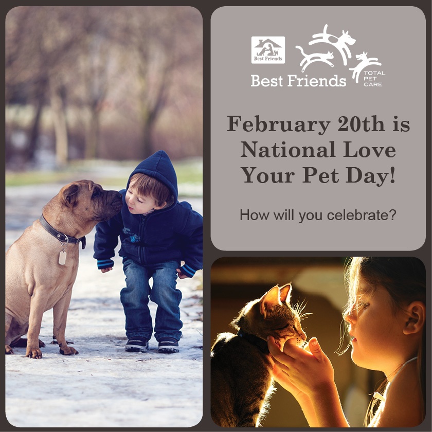 How Do You Celebrate National Love Your Pet Day