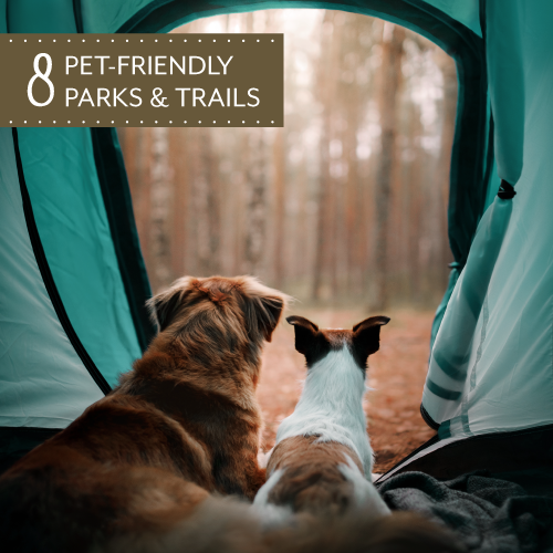 8 Pet-Friendly Parks And Trails