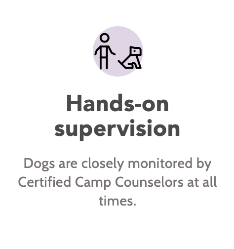 hands-on-supervision