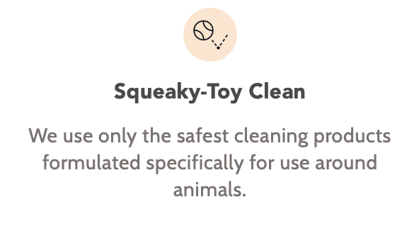 safety-clean