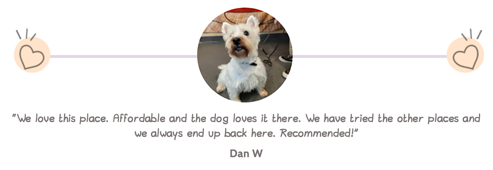 testimonial-dan-w